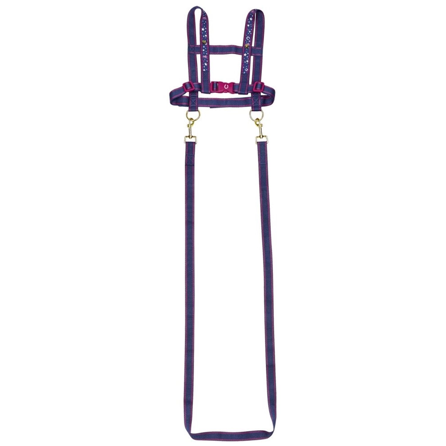 Coppenrath Verlag 14389 Pferdeleine Pferdefreunde Coppenrath Verlag 14389 Pferdeleine Pferdefreunde