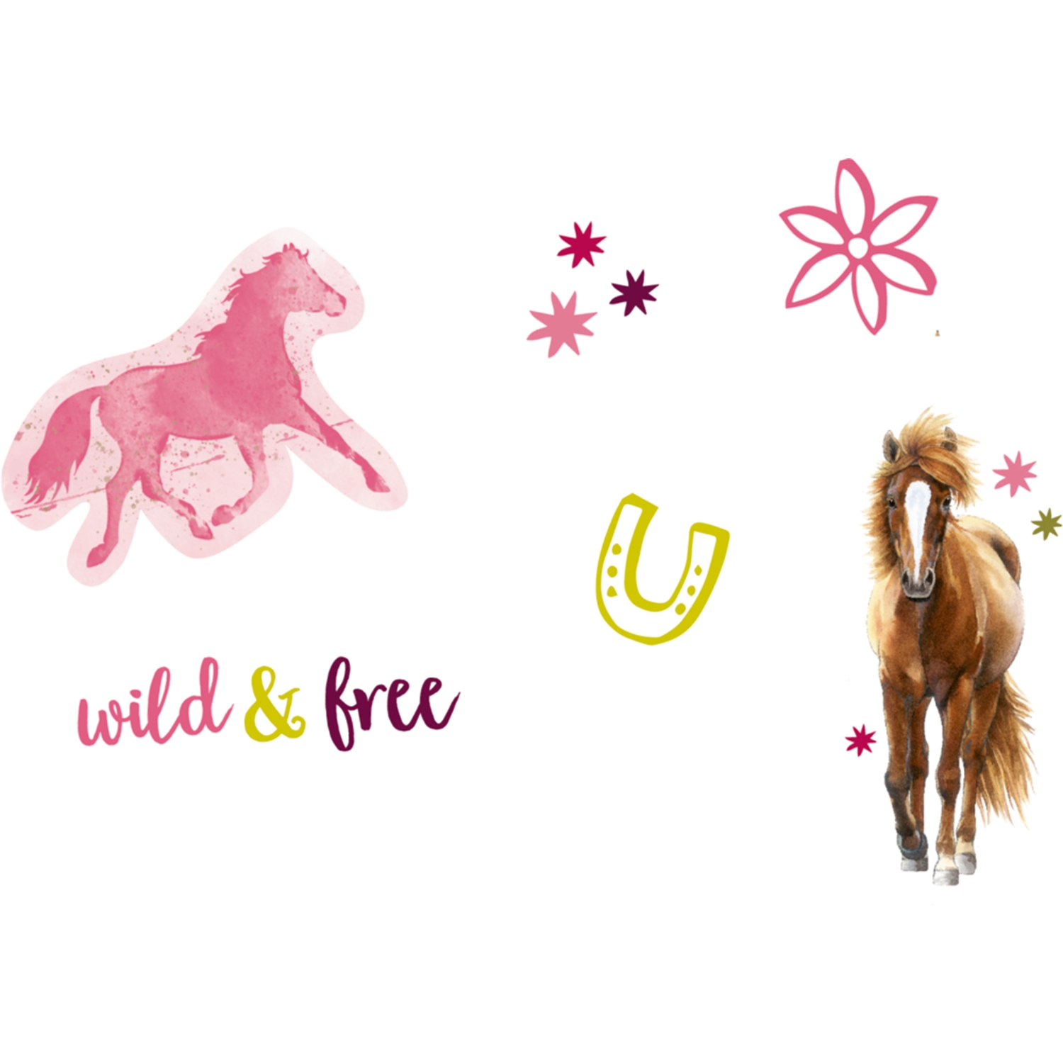 Coppenrath Verlag 16455 Tattoos Pferdefreunde